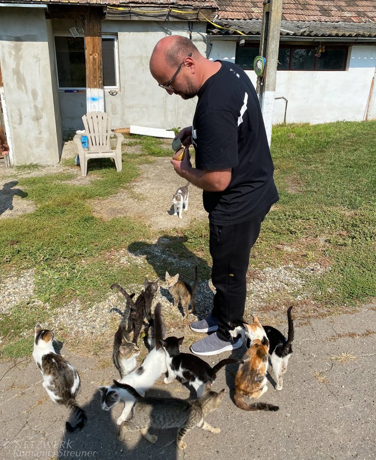 Florin mit seinen zahlreichen freilaufenden Katzen, die auf Pfiff kommen, weil es dann Futter gibt.