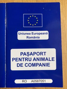 der internationale Ausweis für die EU