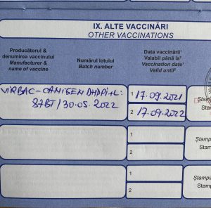 Übertrag der Mehrfachimpfungen